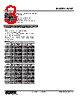 W2XT-2Z1Z1-R Datasheet HTML 3Page - M-System Co.,Ltd. 