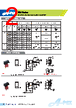 SRAD2 Datasheet HTML 2Page - Apex Electronics Co., Ltd 