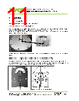 77781-R1 Datasheet HTML 11Page - VAT Group AG 