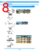BNC-R Datasheet HTML 8Page - DDK Ltd. 