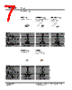 ADE0804 Datasheet HTML 7Page - Tyco Electronics 