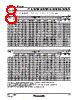PT-RZ970 Datasheet HTML 8Page - Panasonic Semiconductor 
